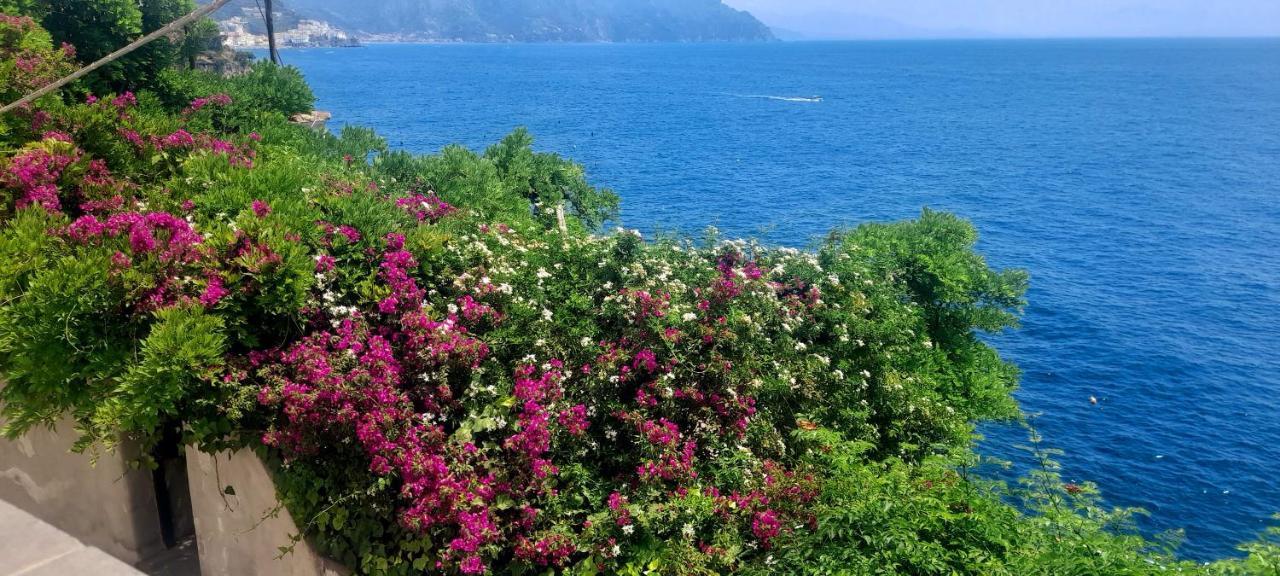 קונקה דיי מריני Villa Gianna Amalfi Coast מראה חיצוני תמונה