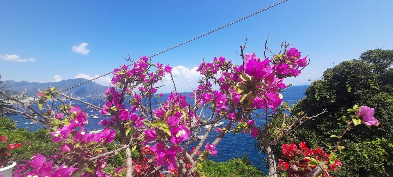 קונקה דיי מריני Villa Gianna Amalfi Coast מראה חיצוני תמונה