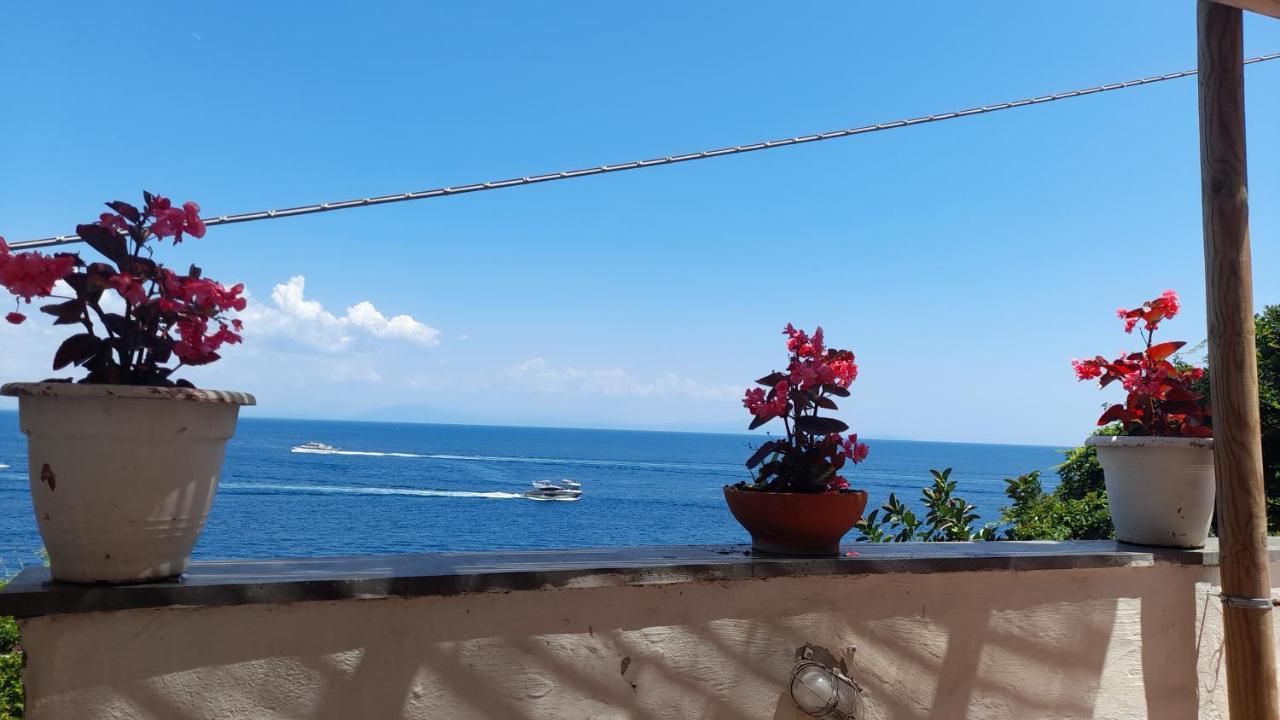 קונקה דיי מריני Villa Gianna Amalfi Coast מראה חיצוני תמונה